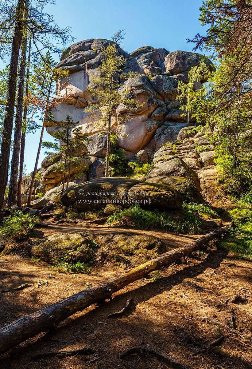 Экскурсия национальный парк заповедник Красноярские столбы цена заказать забронировать фото тур интересные места достопримечательности что посмотреть где побывать в Красноярске  Туристический маршрут центральные столбы скала Перья Дед Львиные ворота первый второй столб Фотосессия фотограф Красноярск природа пейзаж аэросъёмка с FPV дрона квадрокоптера