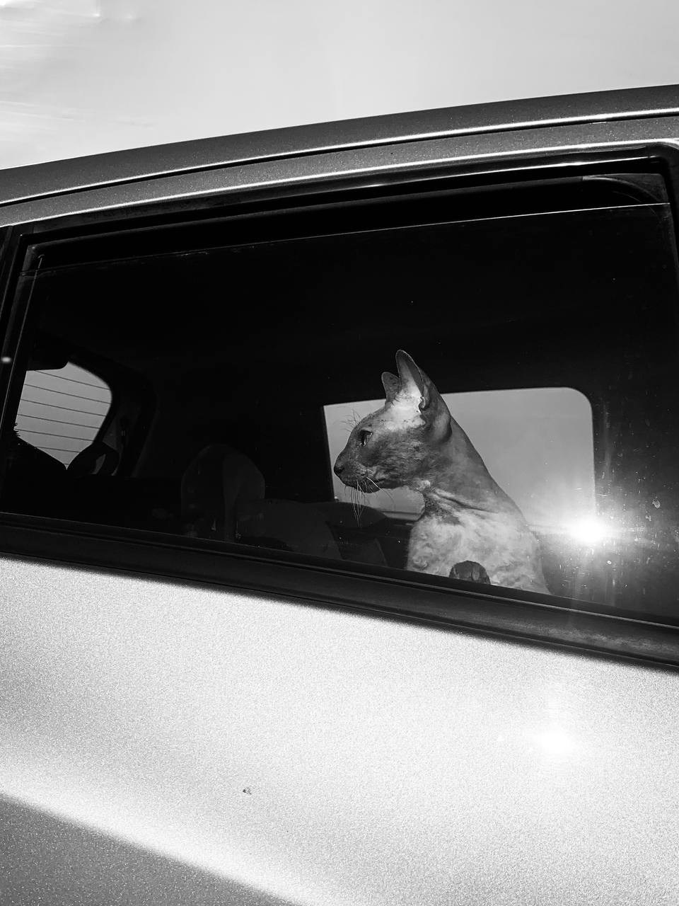 Стрит фото. Фотограф в Екатеринбурге Татьяна Соколовская