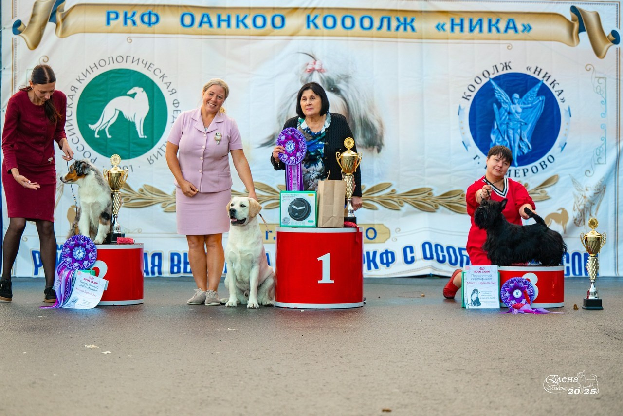 Отзывы. Фотограф анималист Елена Галдина г. Красноярск