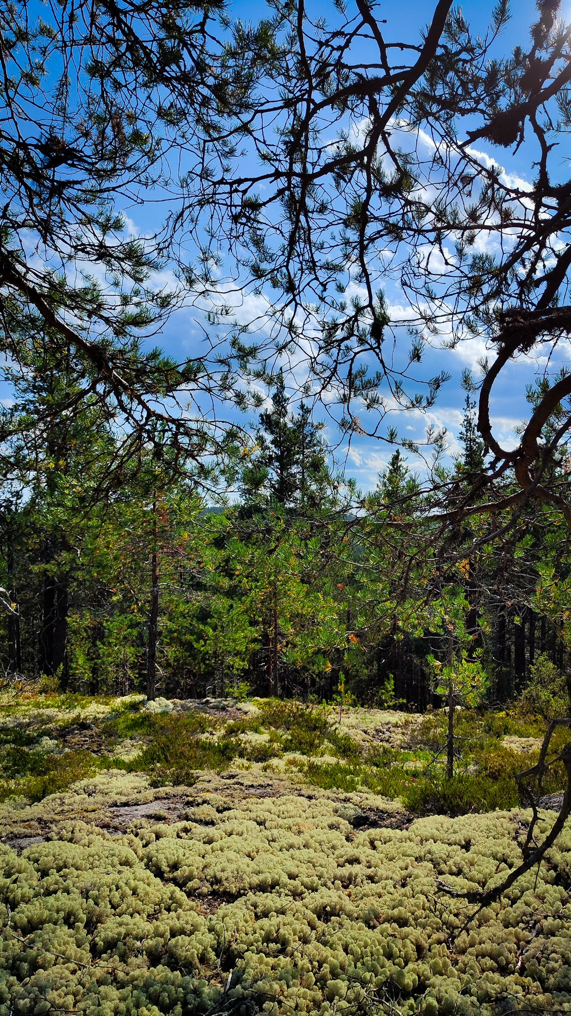 Репортаж с ретрита. Фотограф Ксения Соло