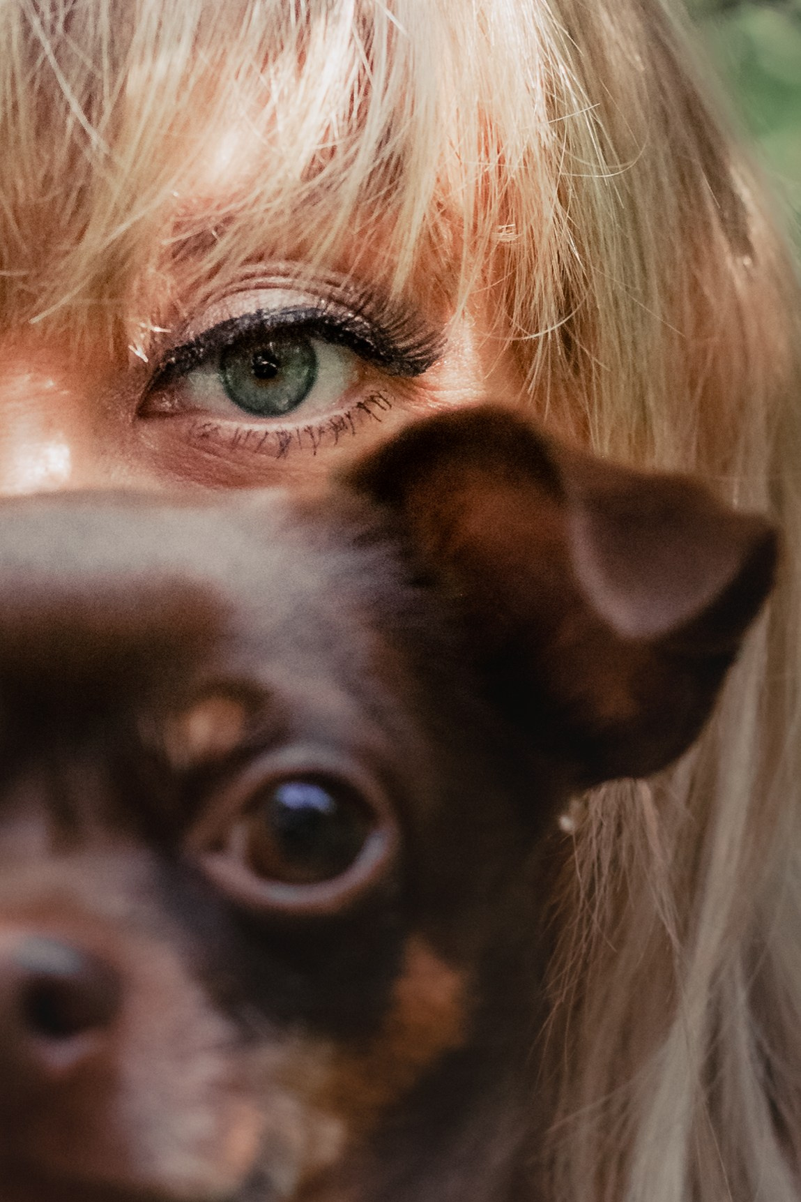 Восточный мост. Фотограф-анималист Татьяна Степанова