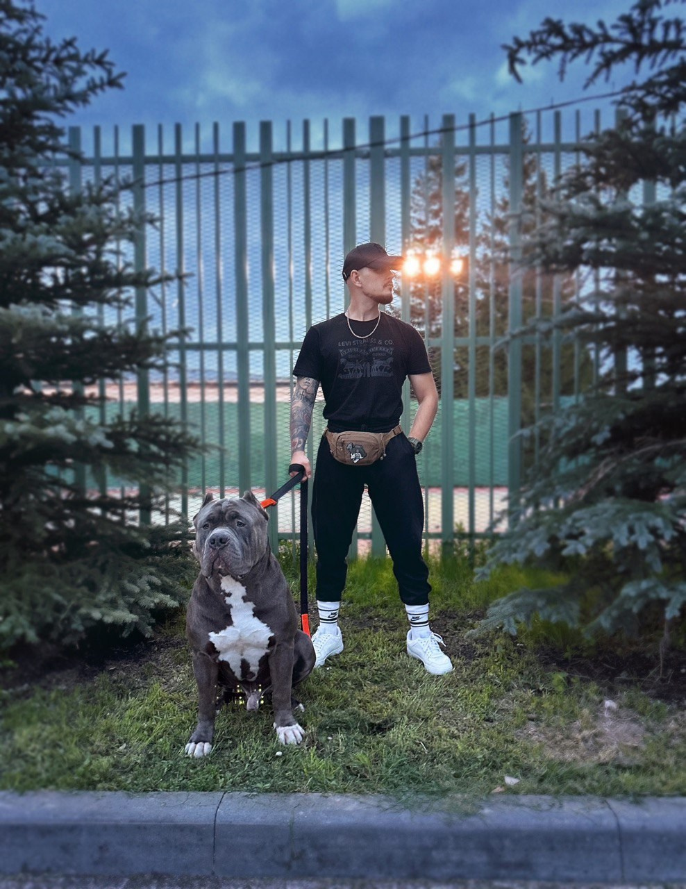 Участие в выставках. Американские булли XL в г. Калининград. Питомник Great Bully UNIVERSE