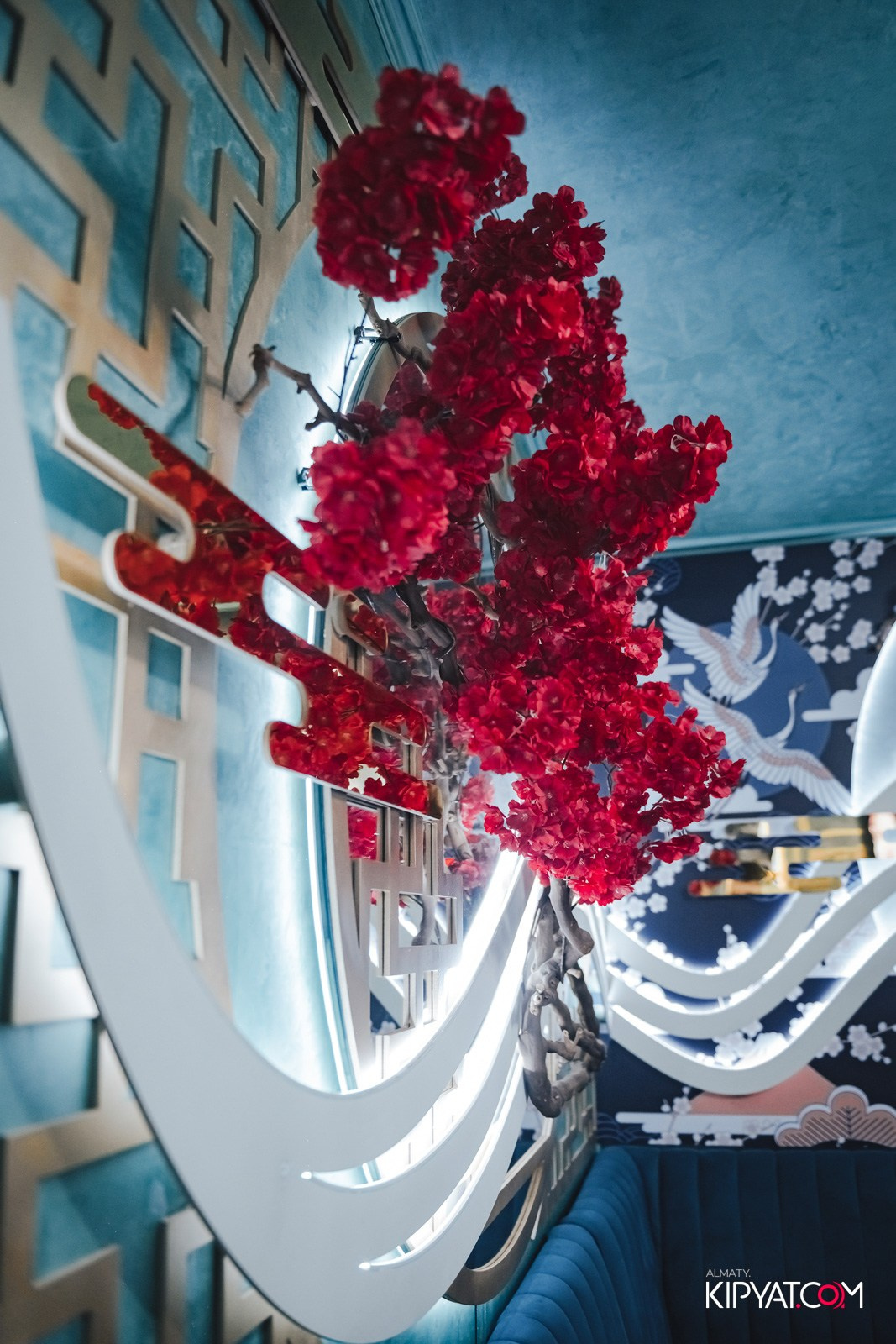 УХО И МЕДВЕДЬ НА ГАГАРИНА. КИПЯТКОМ АЛМАТЫ!