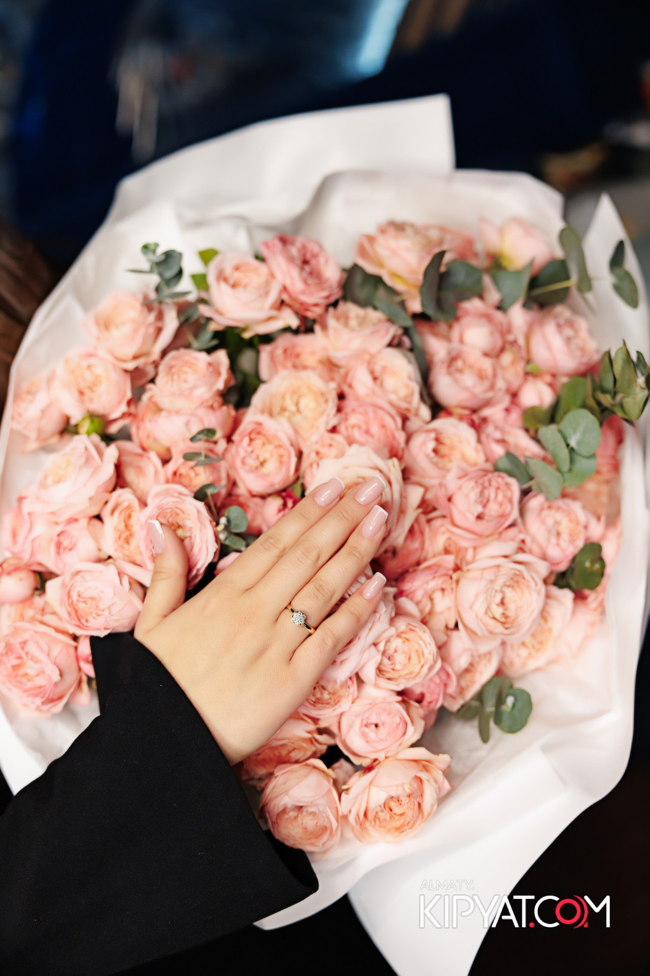 УХО И МЕДВЕДЬ НА ГАГАРИНА. КИПЯТКОМ АЛМАТЫ!