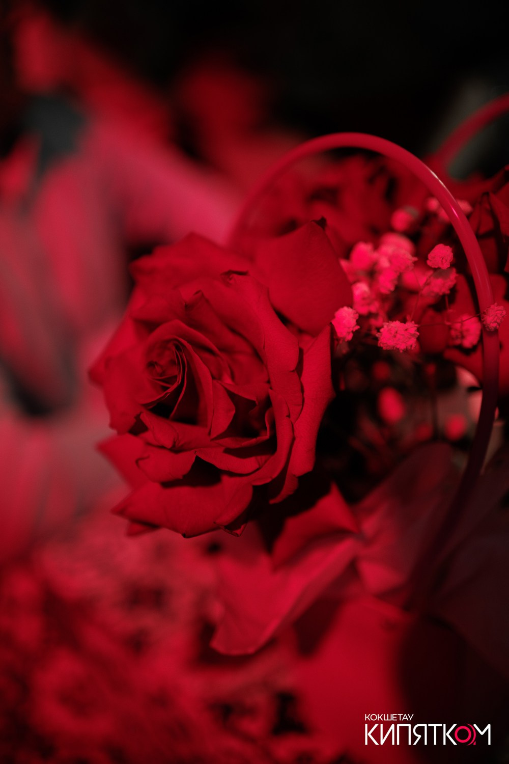 ТБИЛИСИ. КИПЯТКОМ КОКШЕТАУ