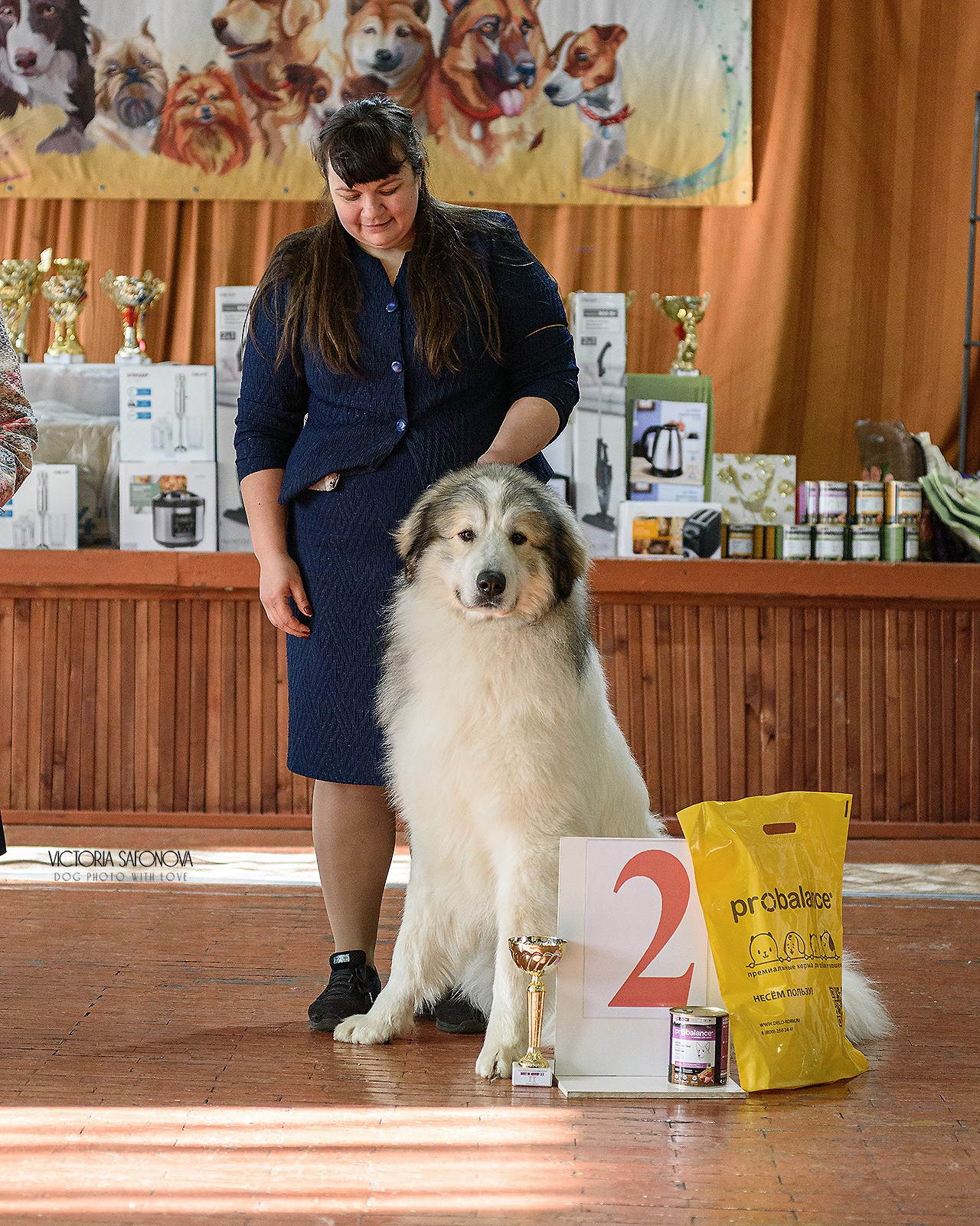 3–4 февраля 2024 Благовещенск. Фотограф анималист Благовещенск. Сафонова Виктория