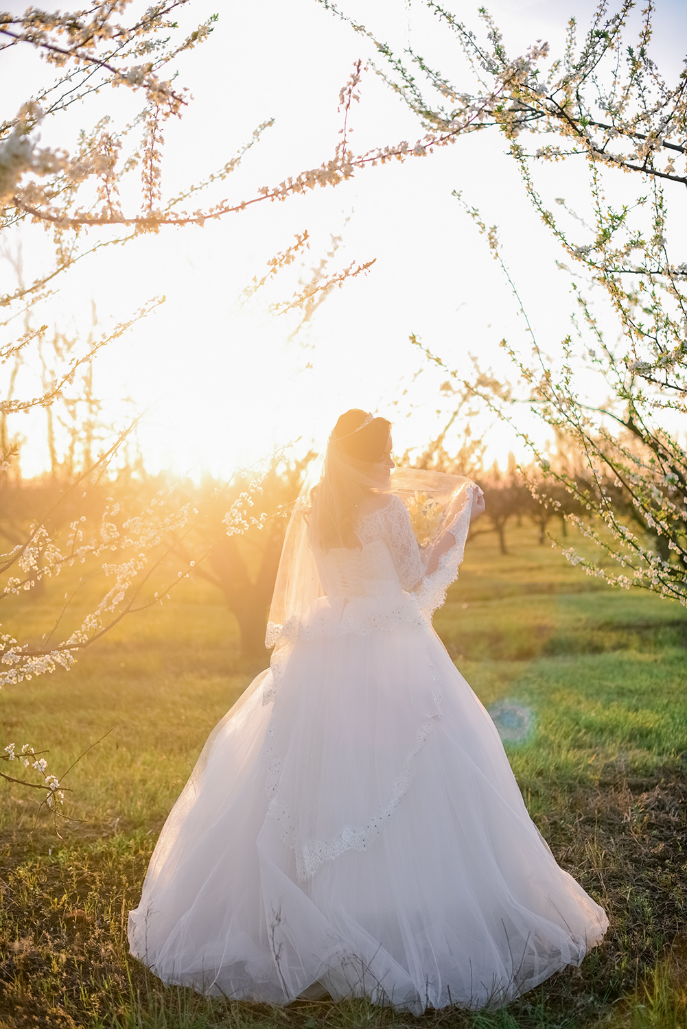 свадебный фотограф в Тимашевске