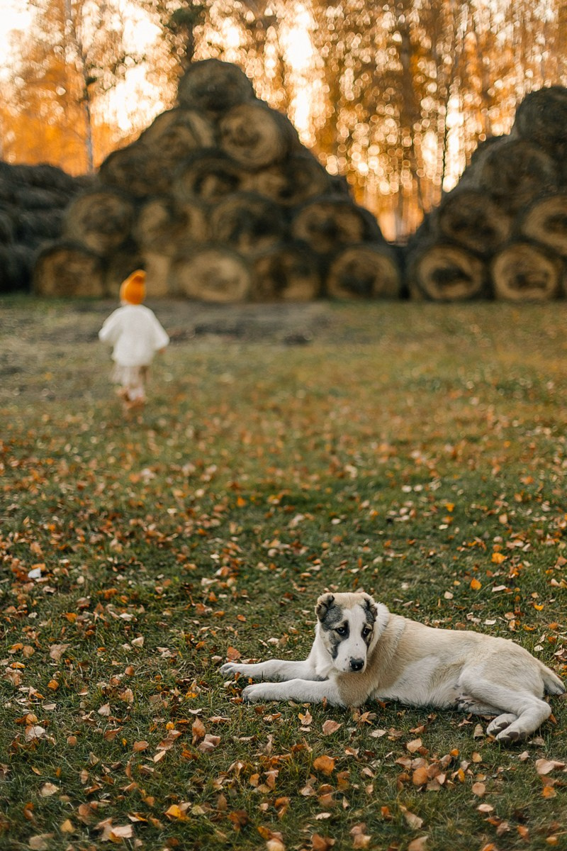 На ранчо. Фотограф Подсумкина Ирина