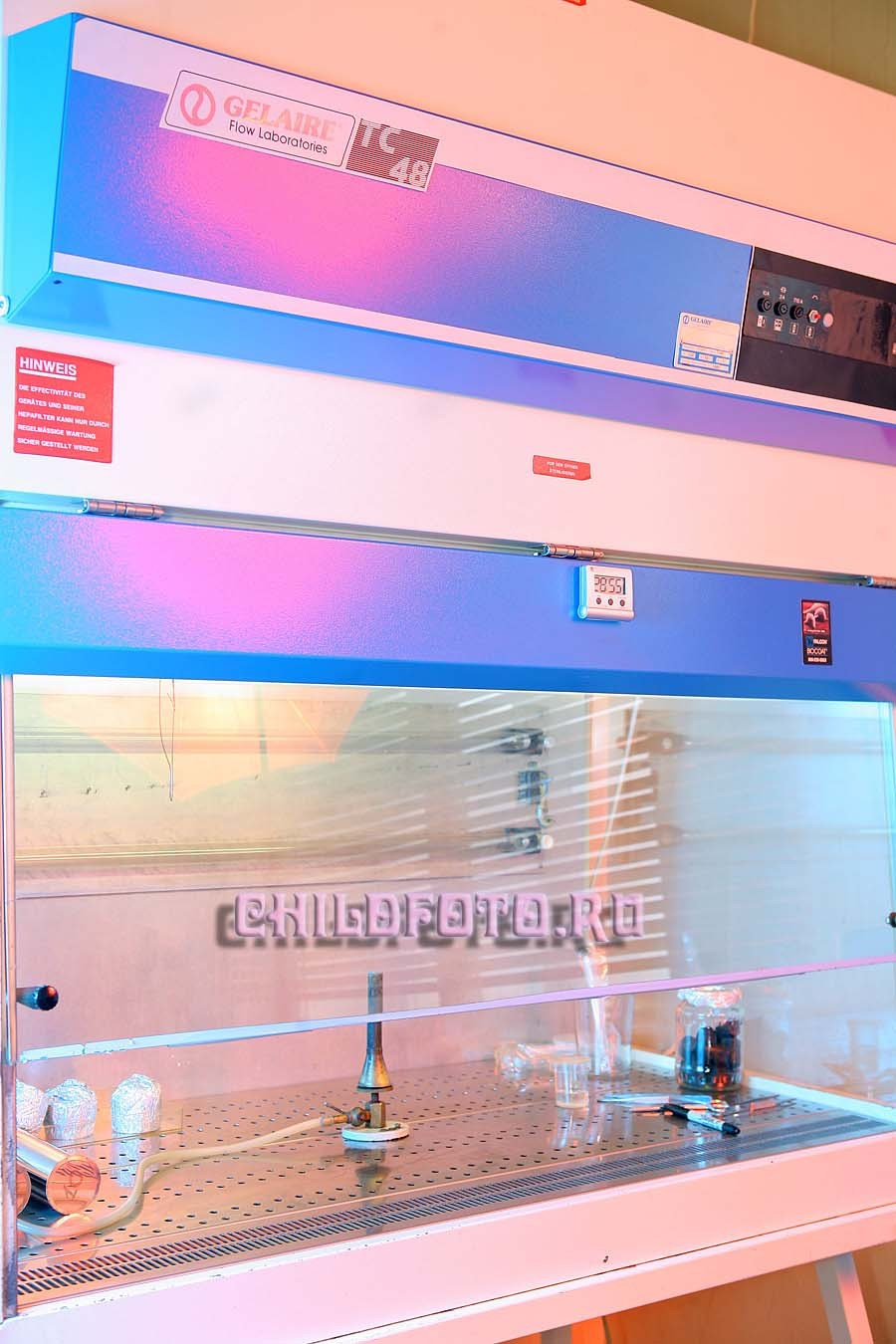 Институт Белка г. Пущино. Skazka.wfolio.pro