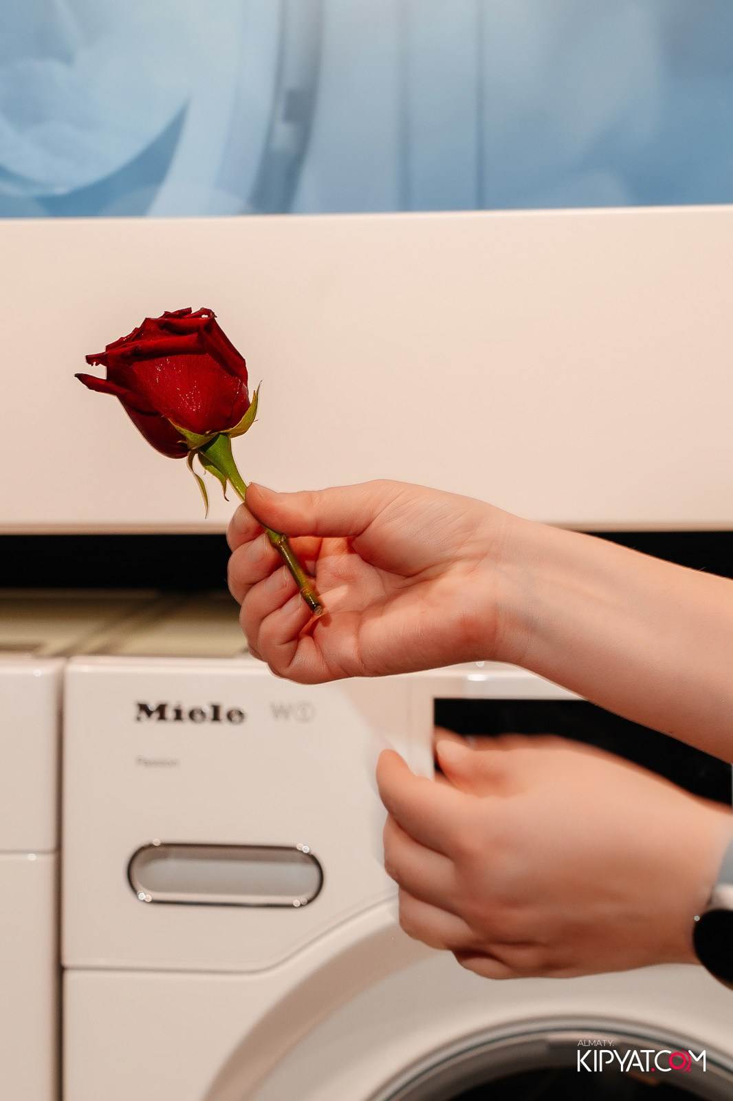 MIELE. КИПЯТКОМ АЛМАТЫ!