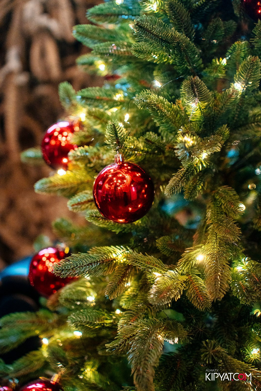 ДОРОГАЯ, Я НЕ ПИЛ. КИПЯТКОМ АЛМАТЫ! Фотосъемка мероприятий в Алматы