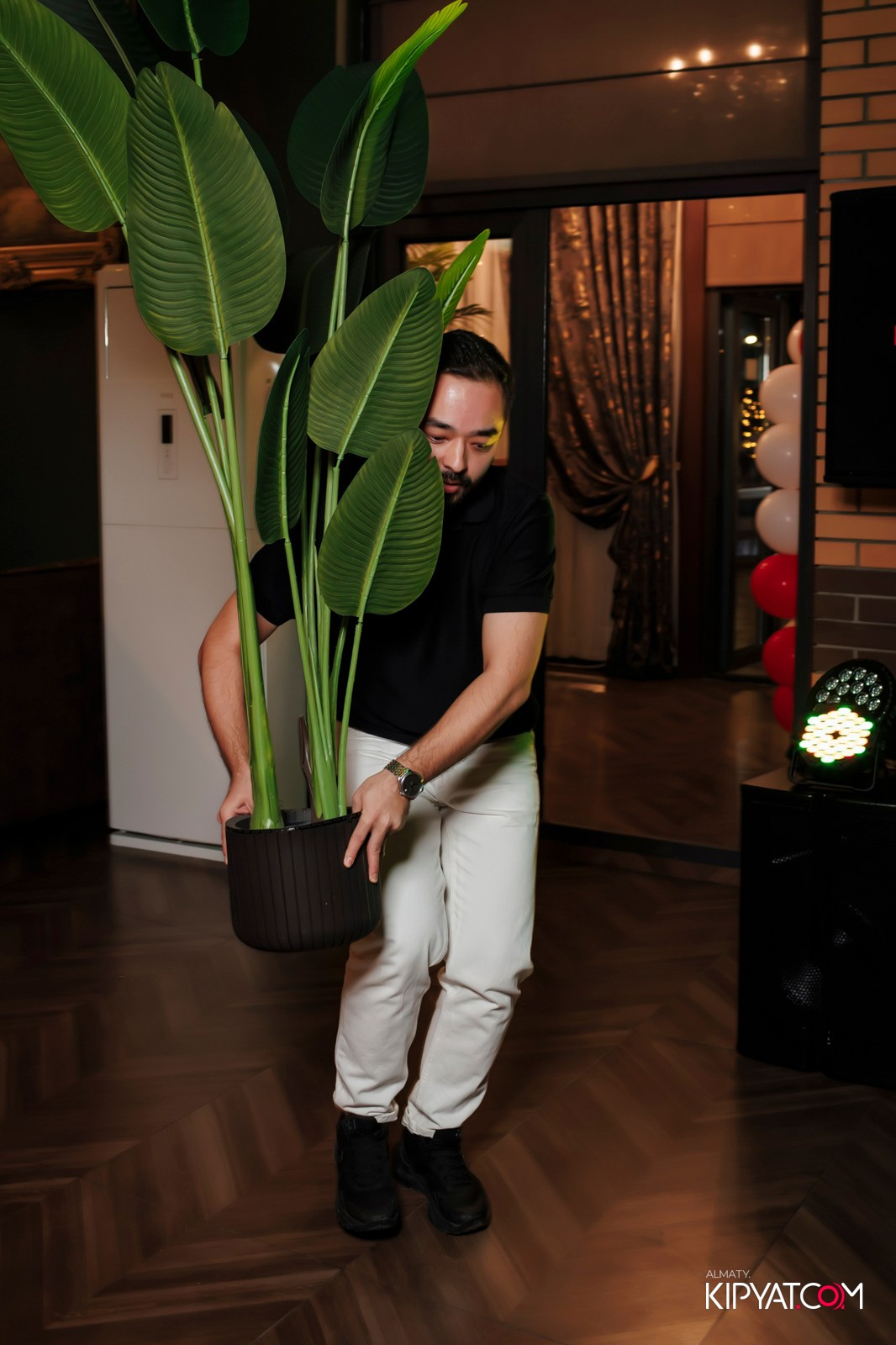 ОТКРЫТИЕ РЕСТОРАНА VESELIDZE НА АБАЯ. КИПЯТКОМ АЛМАТЫ! Фотосъемка мероприятий в Алматы