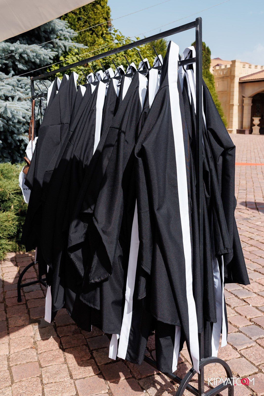 NEW YORK FILM ACADEMY. КИПЯТКОМ АЛМАТЫ!