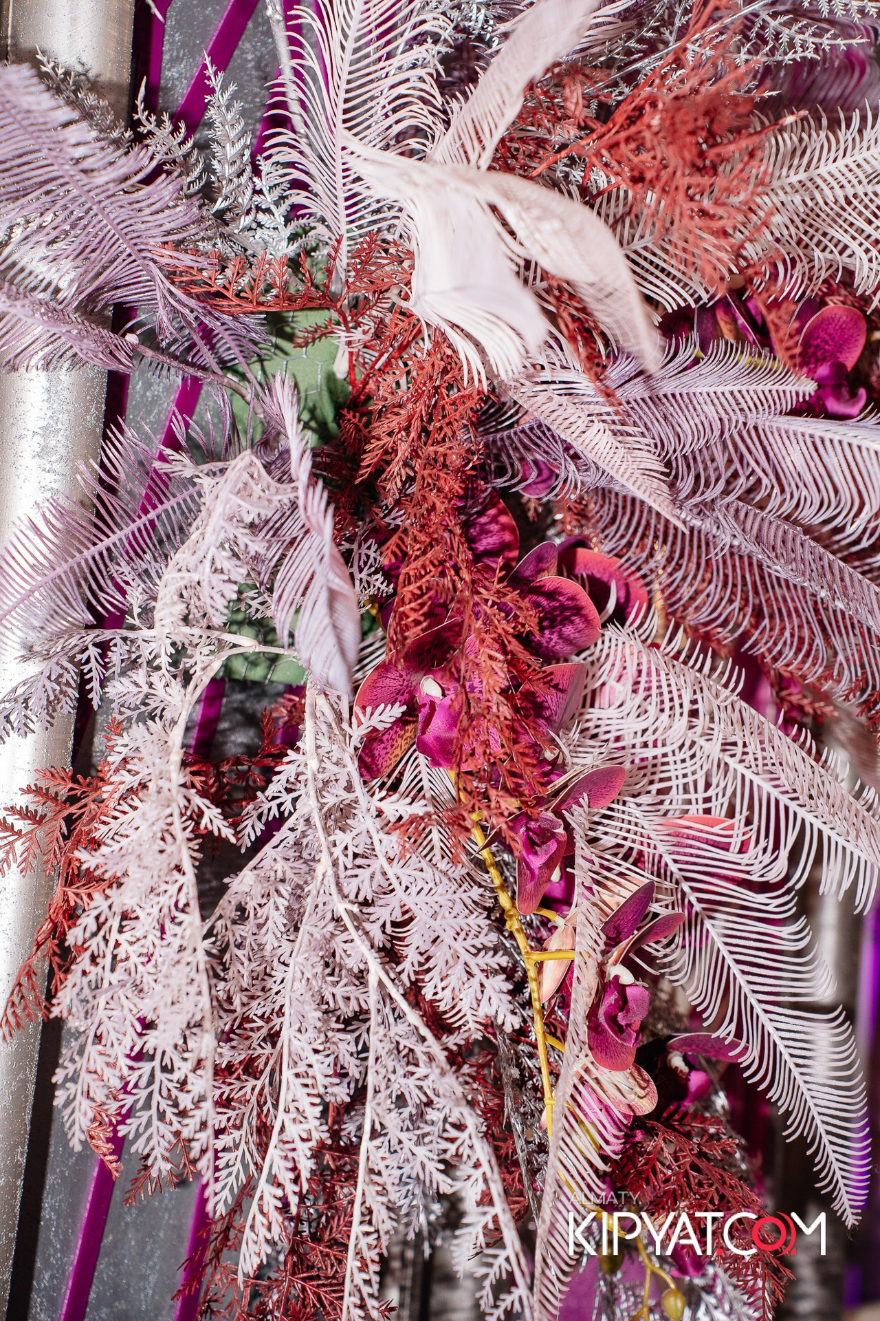 Ухо и Медведь на Курмангазы. КИПЯТКОМ АЛМАТЫ!