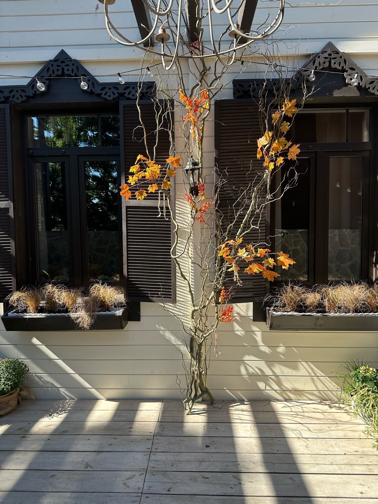 Зал № 41. Фотограф в Москве и области Синенкова Екатерина