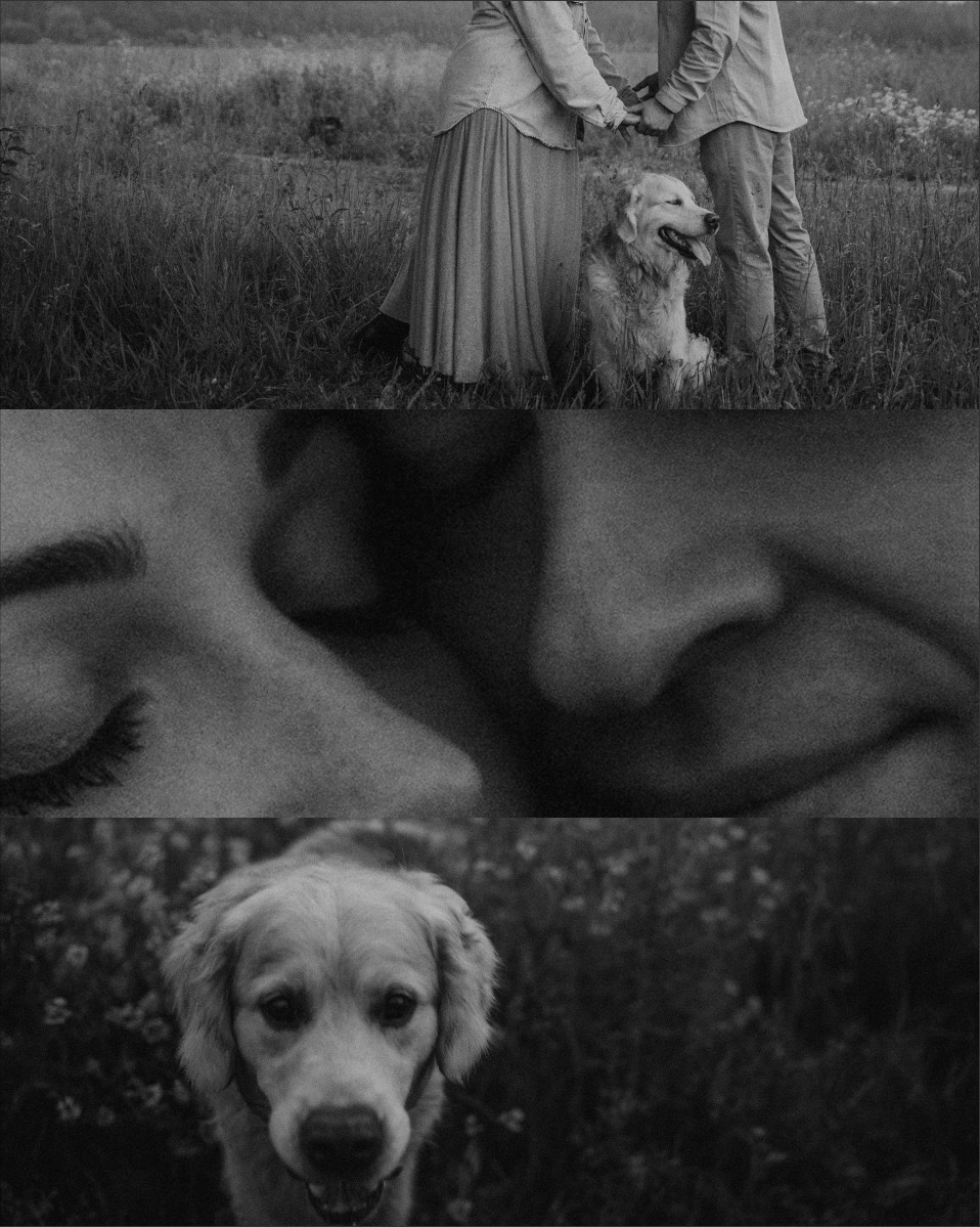 Кристина, Александр, Каролина, Владлен и Космос. Фотограф анималист в Москве и Санкт-Петербурге Свиридова Анна