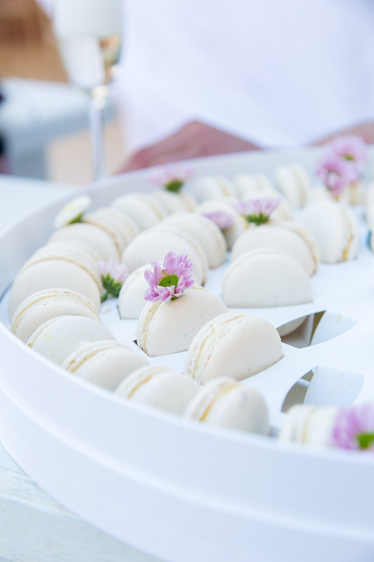 ДЕНЬ РОЖДЕНИЯ Конный клуб. Главная