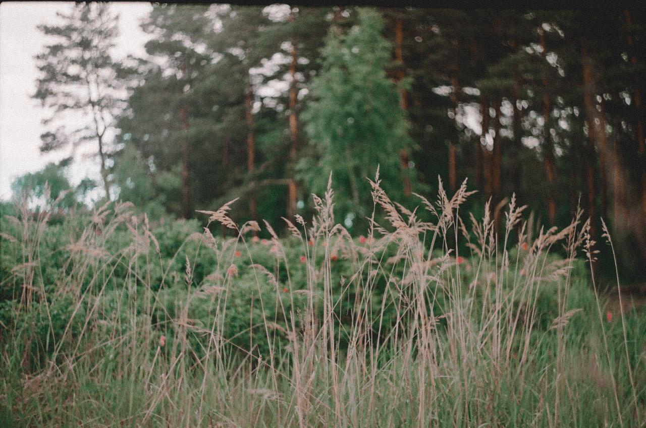 NATURE. SMM-продвижение и контент в Санкт-Петербурге (СПб)