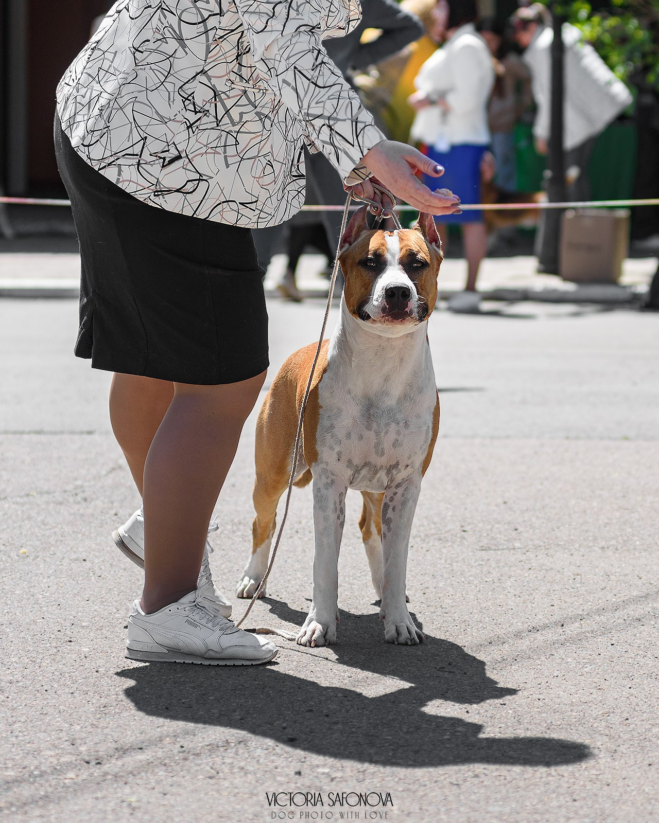 18–19 мая 2024 Благовещенск. Фотограф анималист Благовещенск. Сафонова Виктория