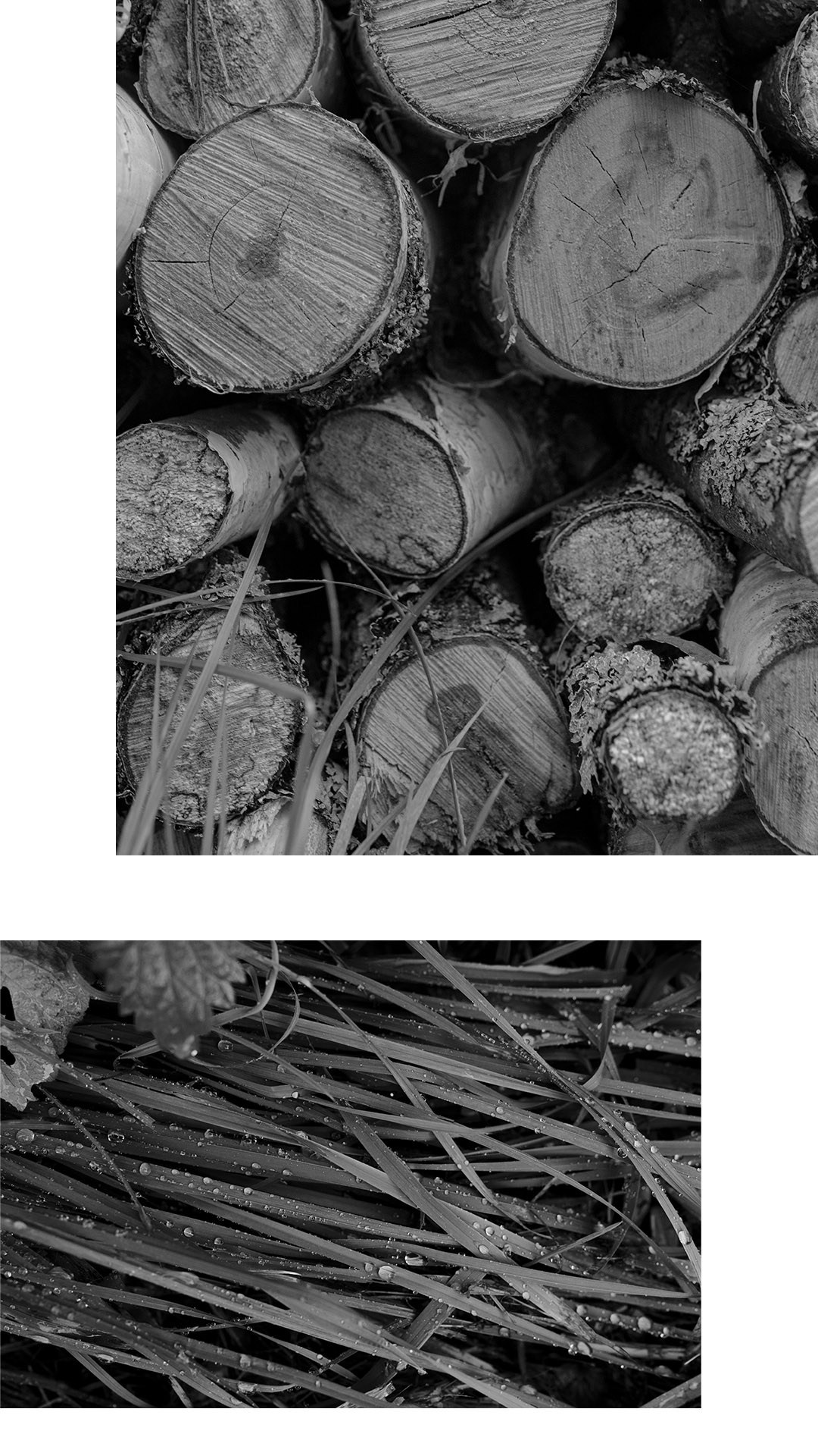 «Голос тела» Виктория Лайнер. Ольга Пилант. АРТ, бэкстейдж, свадебная и семейная фотография, городской портрет, интерьерная фотография