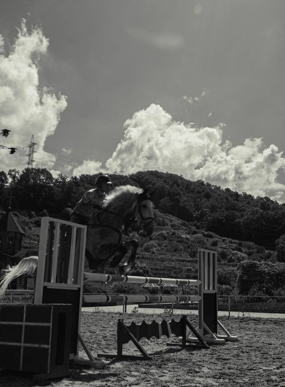 Фотосессия на конюшне в Сочи. Портфолио фотографа Анастасии Блохиной