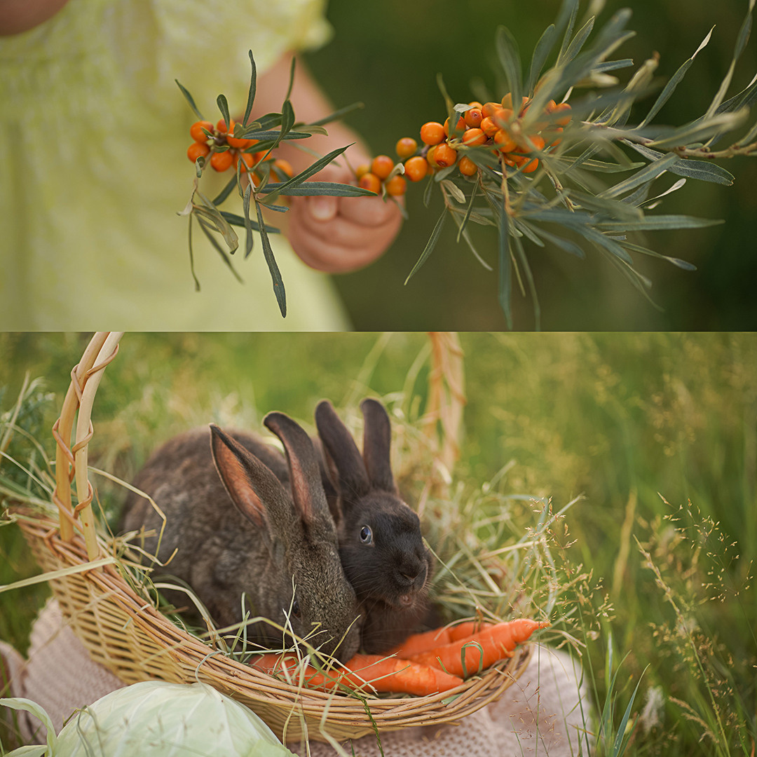 В деревне у дедушки. Фотограф Татьяна Митрофанова