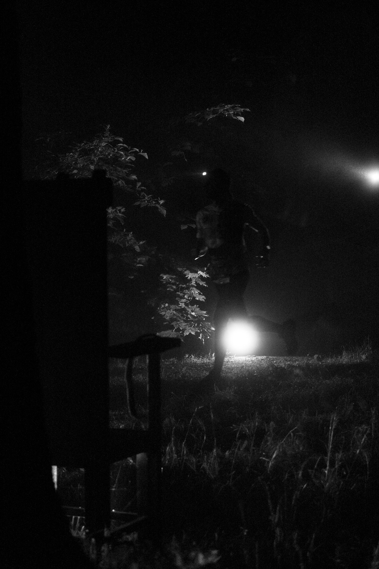 outdoor photo, outdoor photo, running, trail running, crazy owl, competitiooon, festival, night running