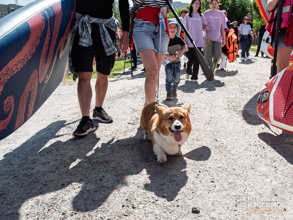 SUP-фестиваль на Туре