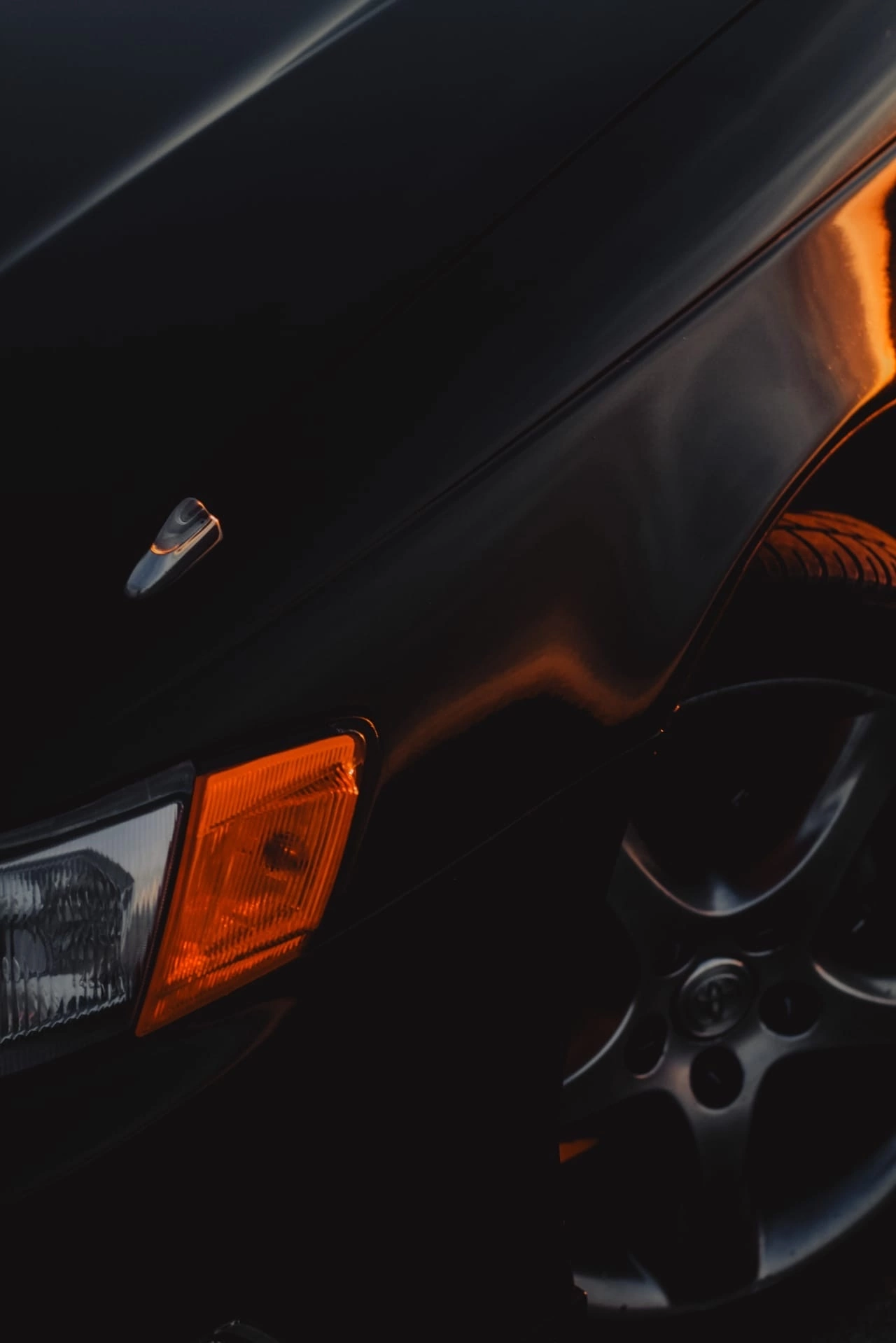 Сходки. Семейный фотограф Полина Легачева