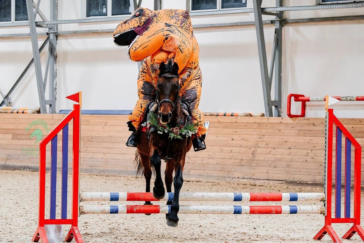 НОВЫЙ ГОД В КСК «АЛМАЗОВО», КОНКУР. Куракина Дарья • Конный фотограф