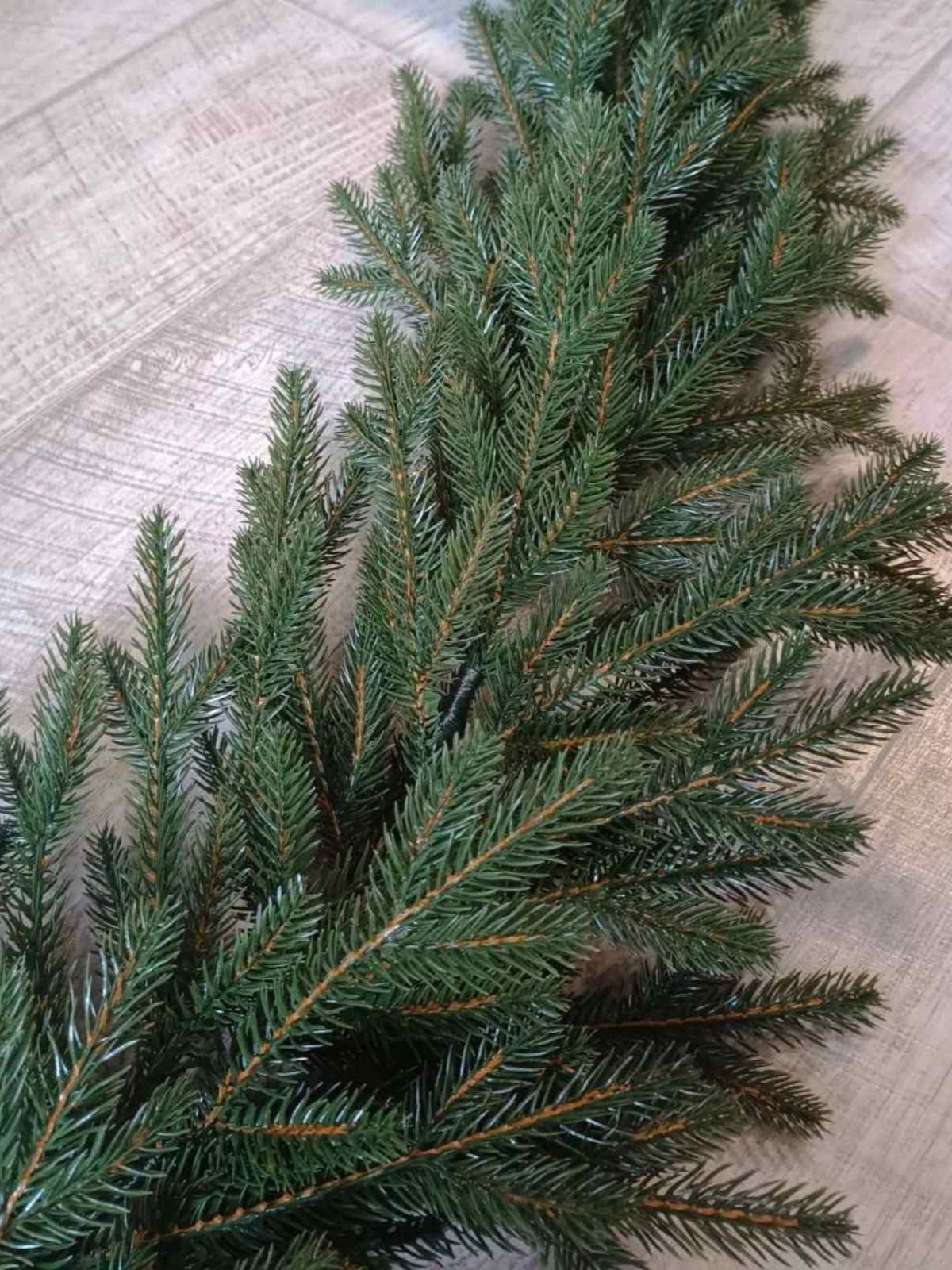 ЕЛОВЫЕ ГИРЛЯНДЫ. Elki_grodno