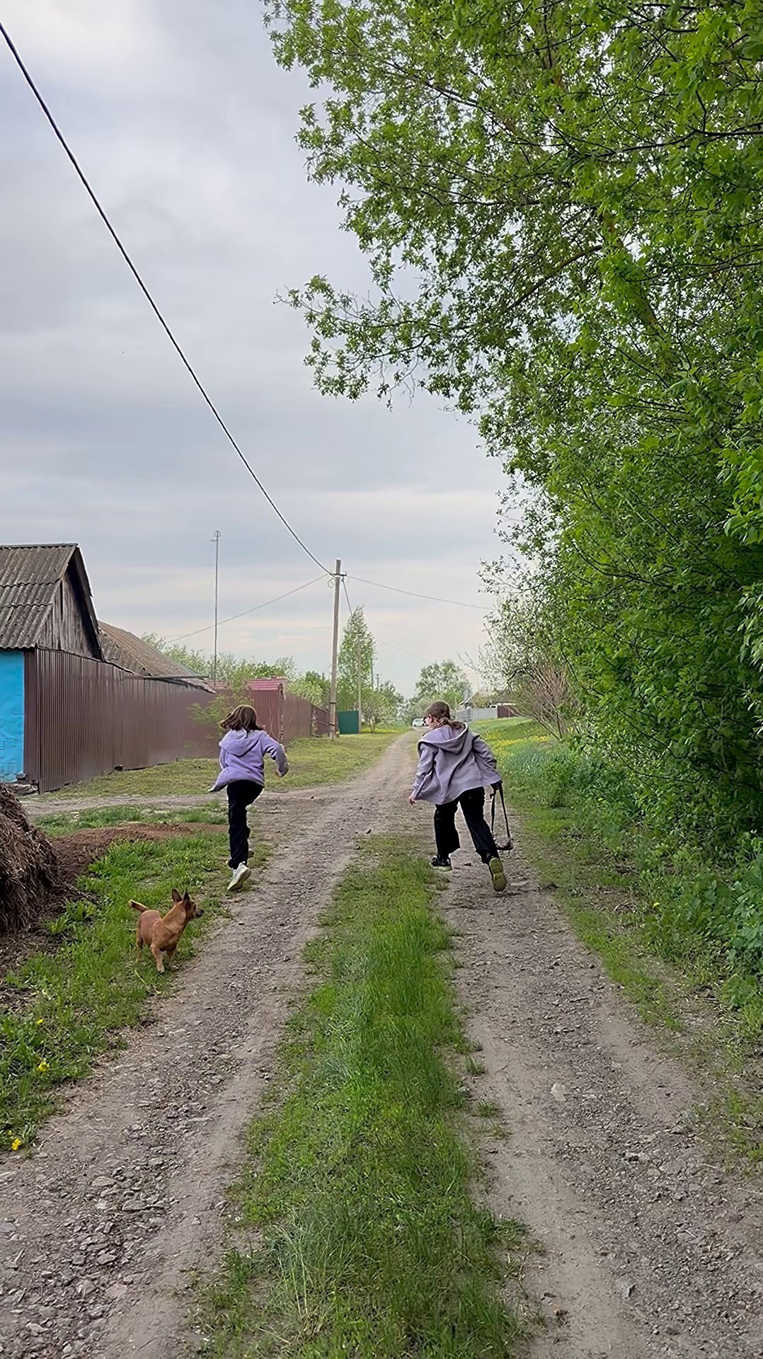 Подружки. Семейный фотограф в Москве Марина Аргунова