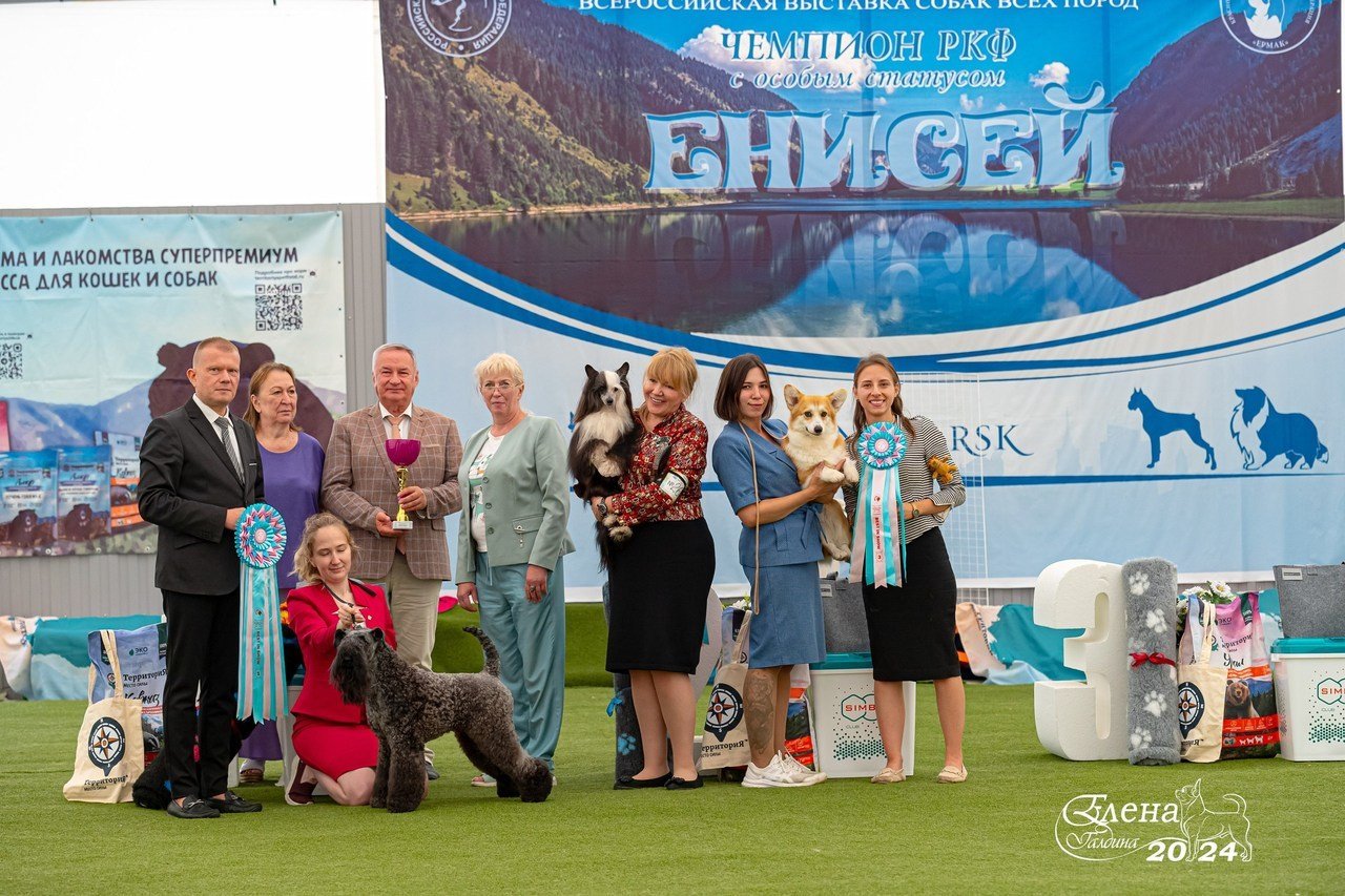 Отзывы. Фотограф анималист Елена Галдина г. Красноярск