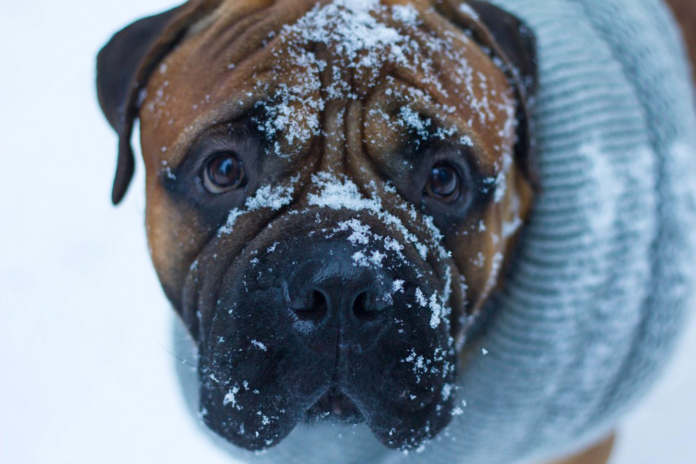 Фотосъёмка love story в Кирове