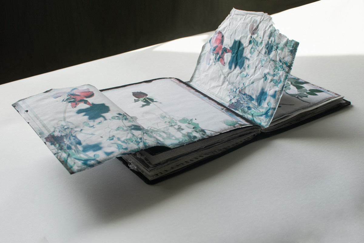 Книга художника. Анна Полонеева фотография фотохудожник визуальная художница портреты