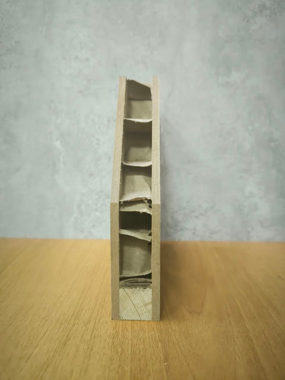 Коллекция FUSION. Портфолио