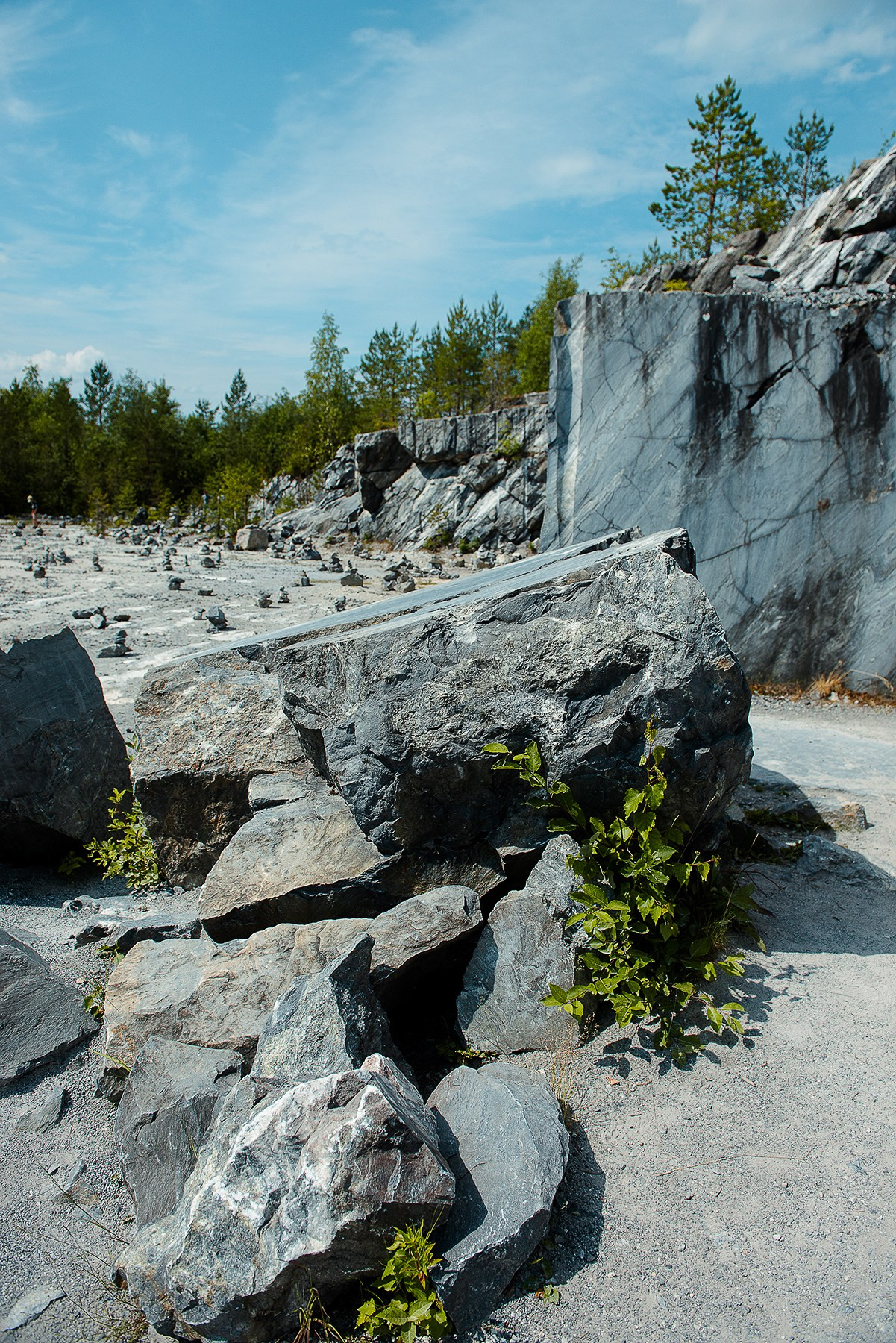 Карелия. Фотограф-анималист Наталья Светличная