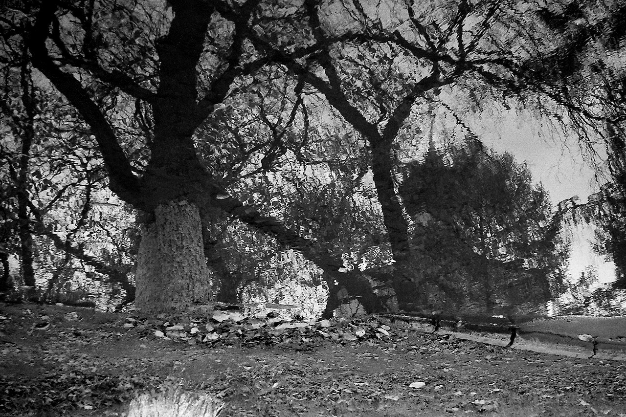 РАЗНОЕ. Андрей Пономарёв