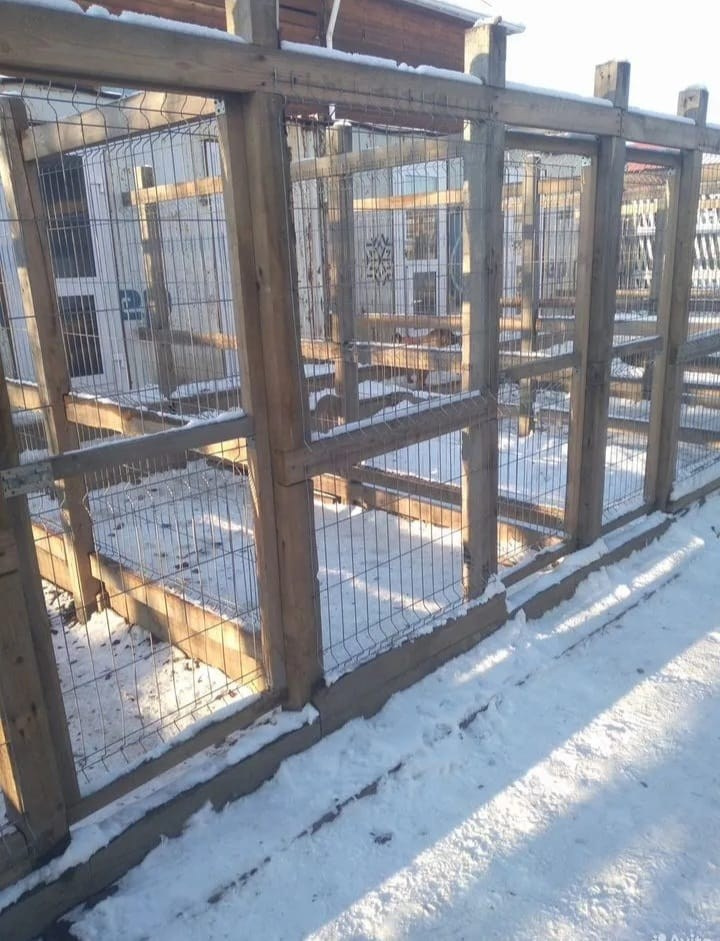 Гостиница для животных в г. Иркутск. Питомник собак Иркутск