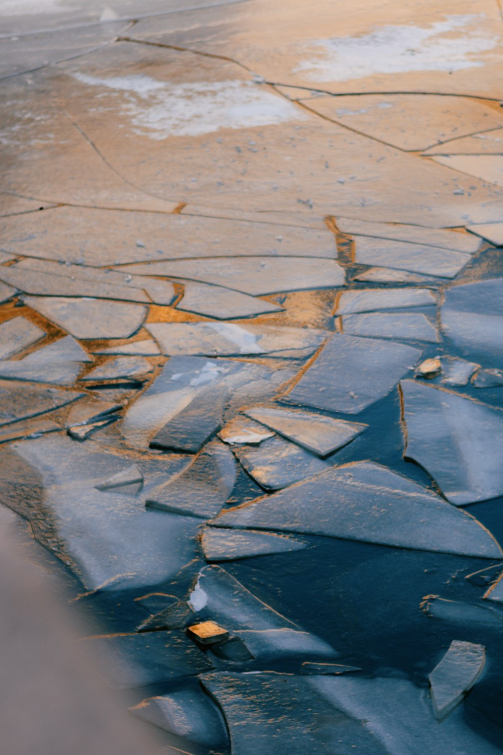 Уличная фотография каждый день