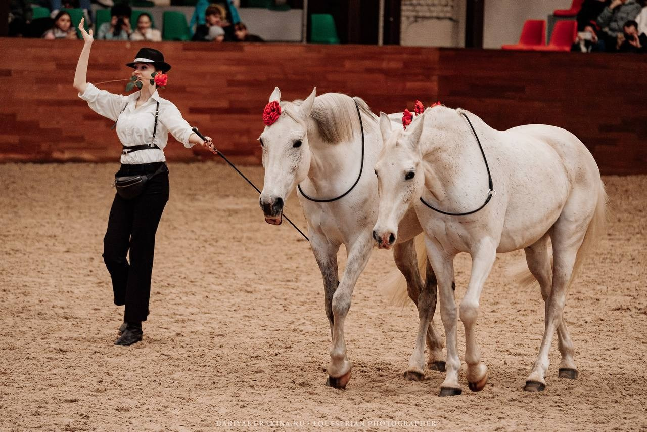 КОННАЯ ВЕСНА 2025. Куракина Дарья • Конный фотограф