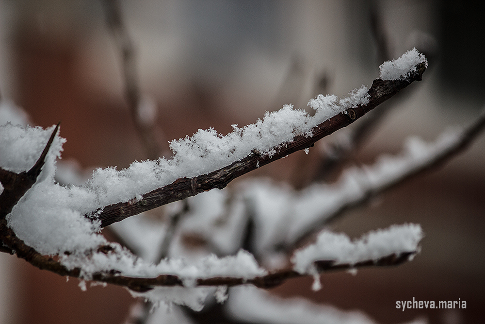 Первый снег. Детский и семейный фотограф, фотограф мероприятий Нижний Новгород