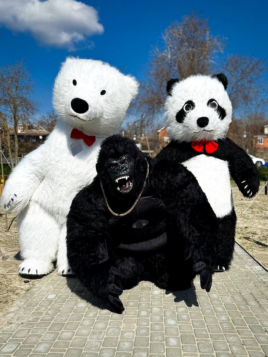 Эксперсс поздравление.ростовые куклы, медведь, панда, горилла. Организатор праздников. Ведущая Марина Гребенникова