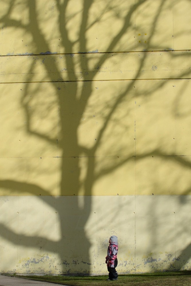 Обучение. Фотограф Людмила Оюн