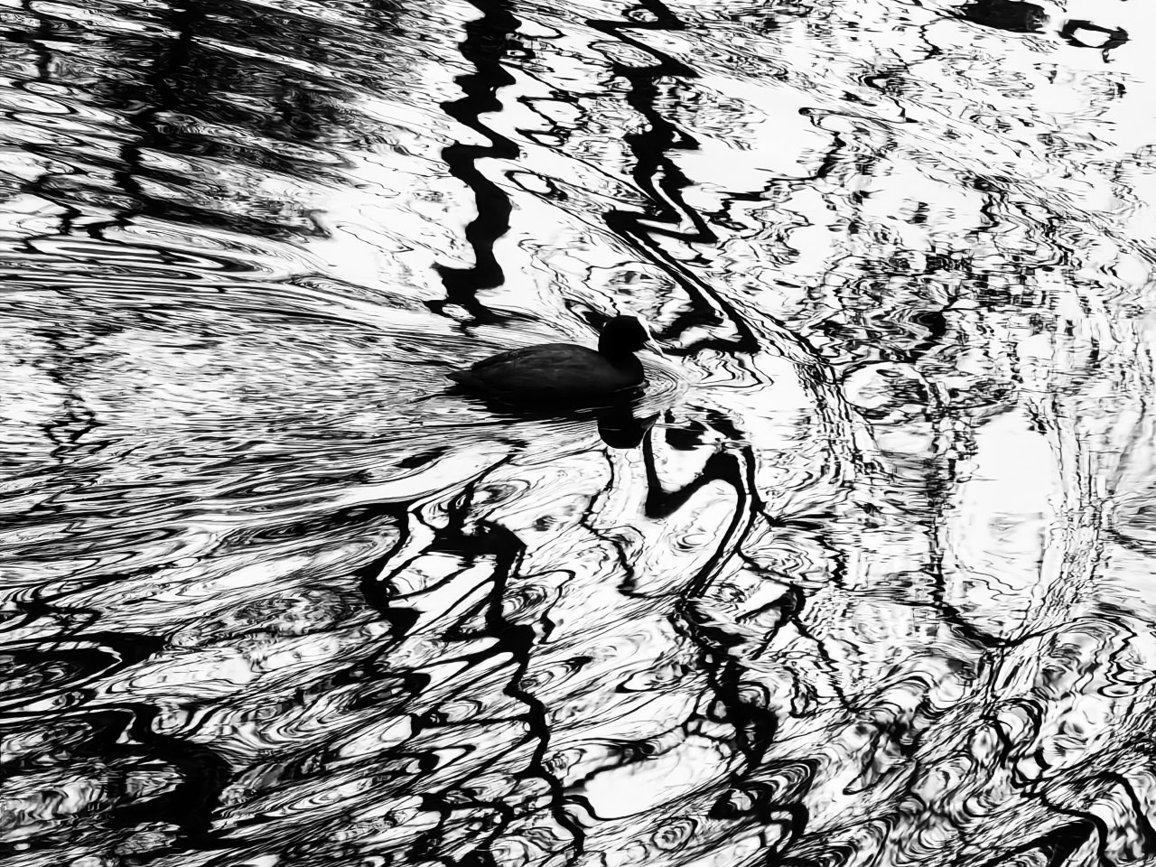 Уличная съемка. Фотограф и оператор Илья Гунбин