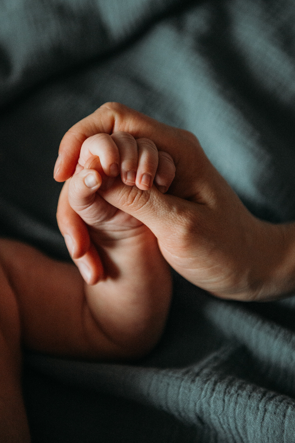 Семейный фотограф в Краснодаре