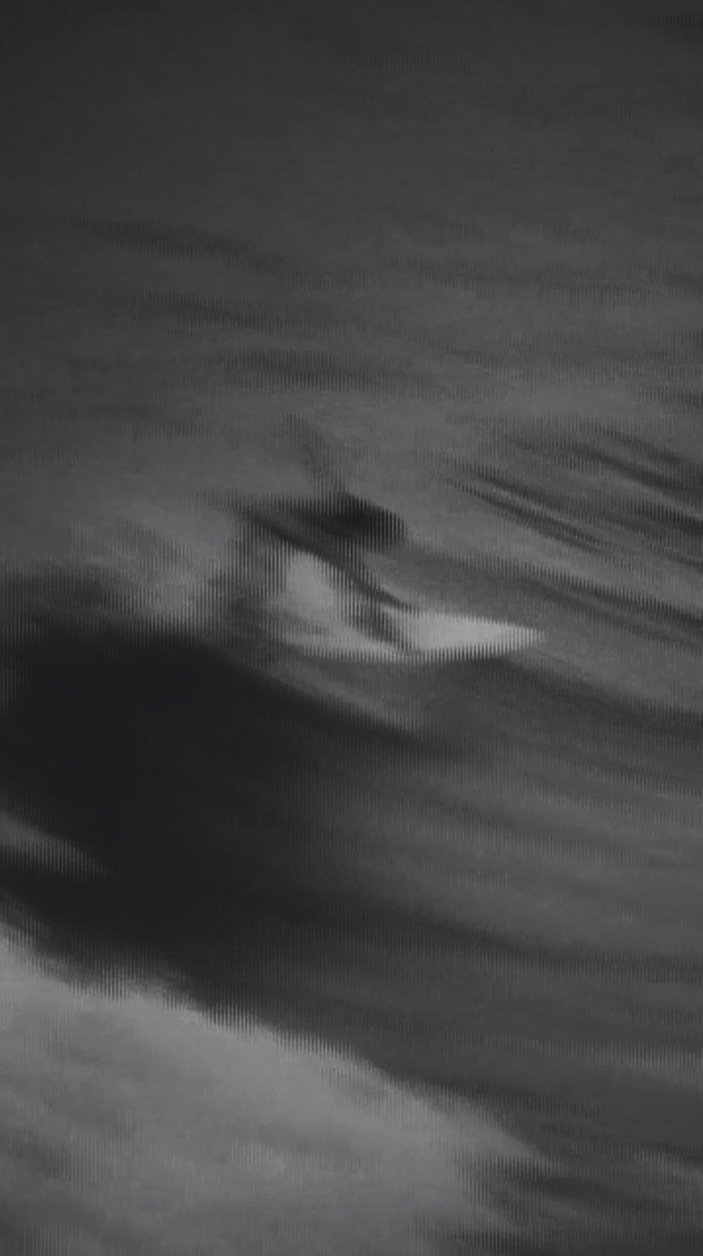 SURFING. Carolinetru