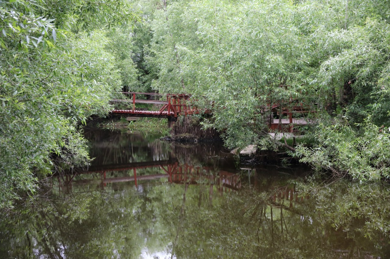 Деревенский выезд. Галерея Фантим