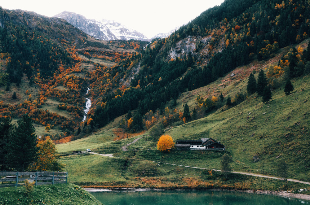 OUTDOOR. Andrei Bortnikau photographer in Tbilisi, Georgia
