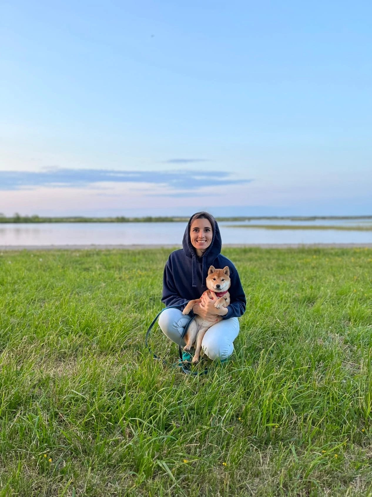 сиба питомник Рубилайт щенки на продажу rubylight  сиба щенки купить